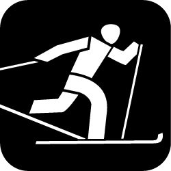 Skilanglauf